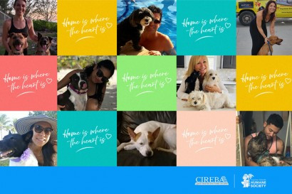 "Home is Where the Heart is" donates CI$10,000 to the Cayman Islands Humane Society