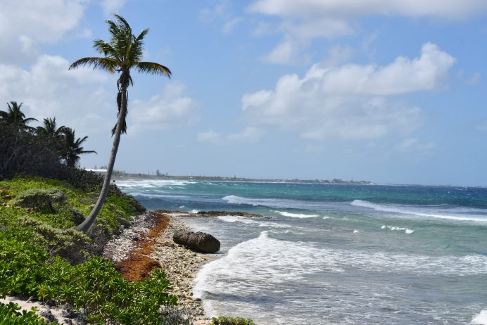 North East Coast / Colliers